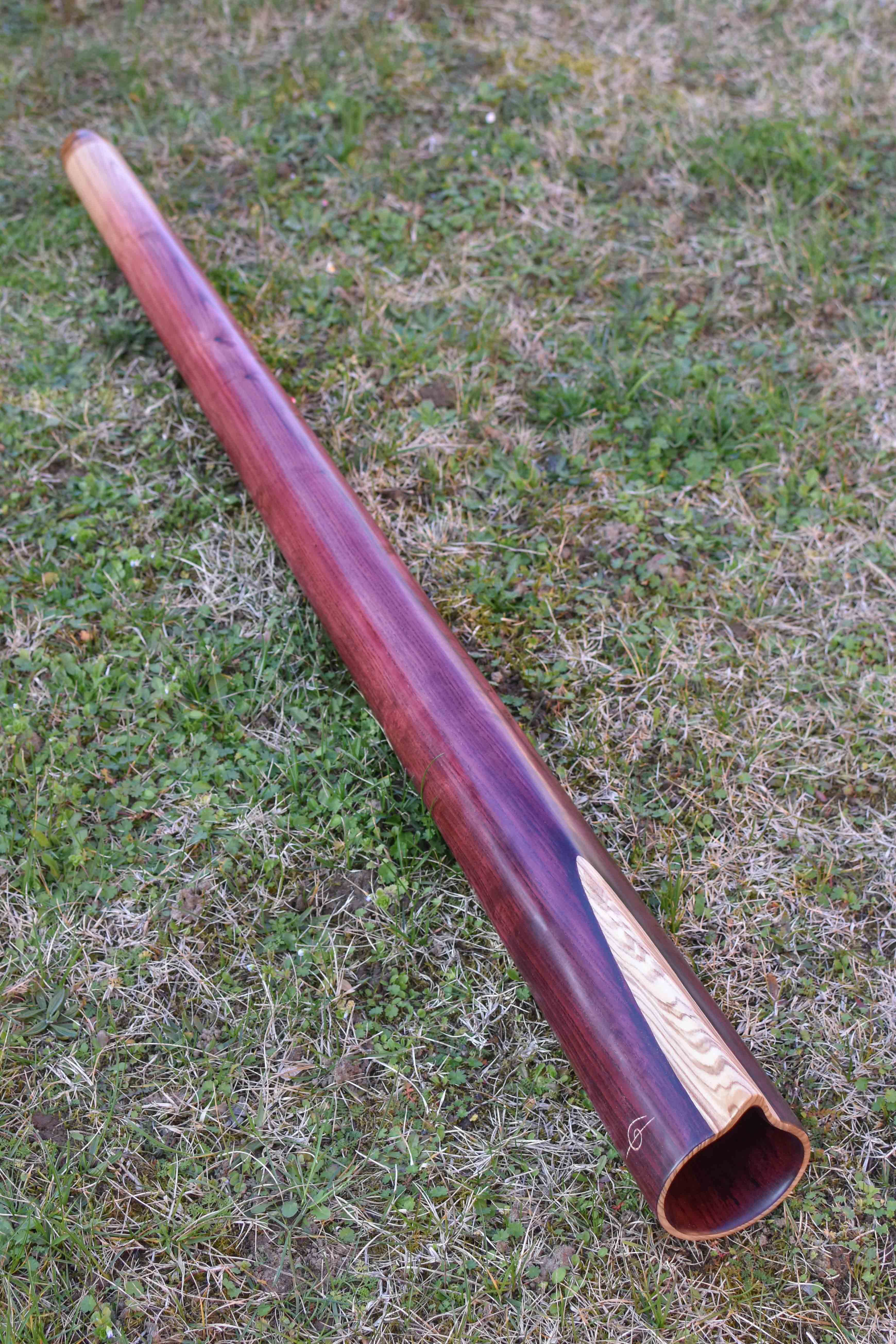 Didgeridoo sur mesure, en Do, tout droit, fabriqué dans un magnifique morceau de frêne à coeur olivier, teinté en dégradé de pourpre